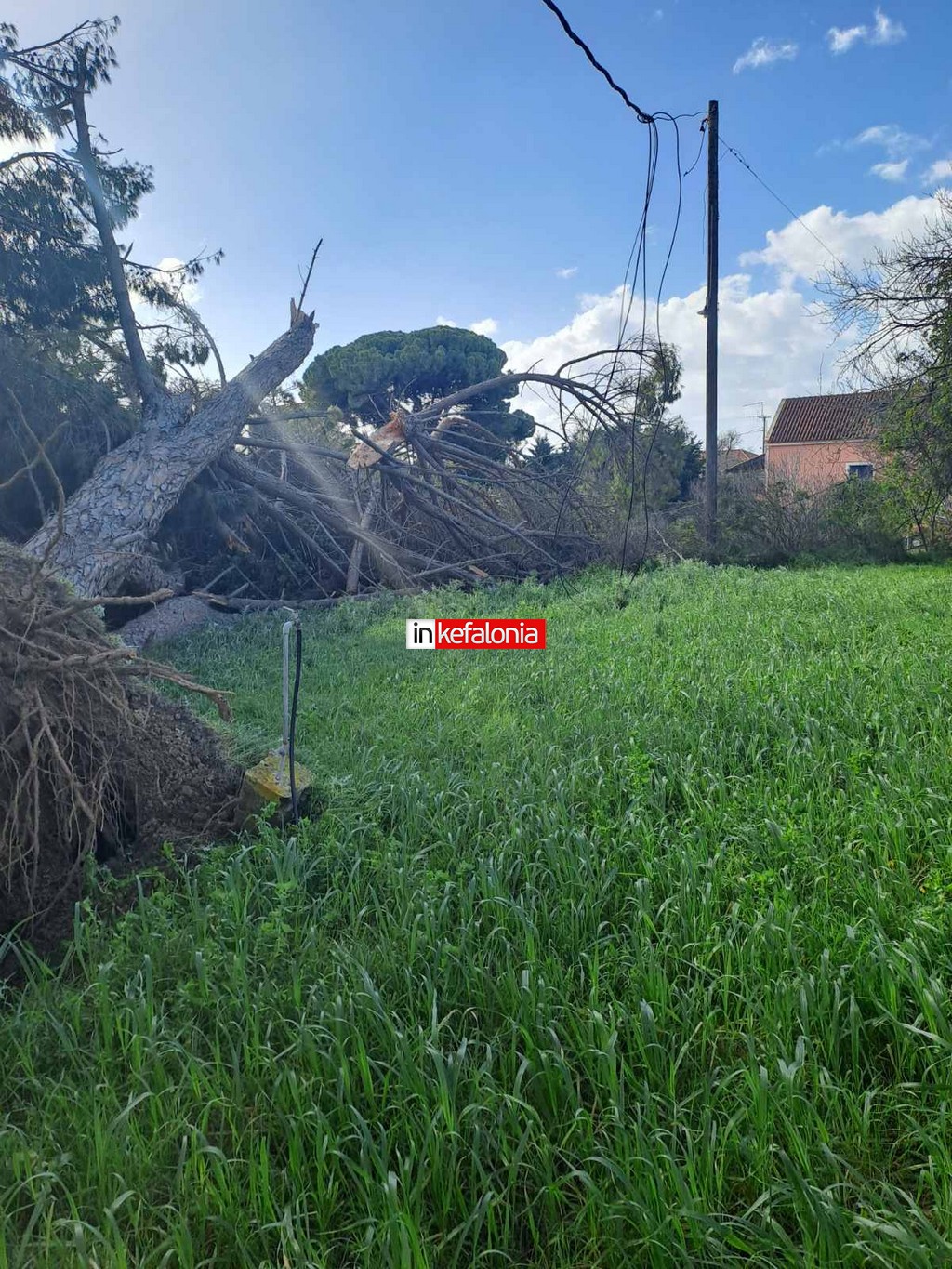 εικόνα Viber 2026 02 18 10 53 33 878