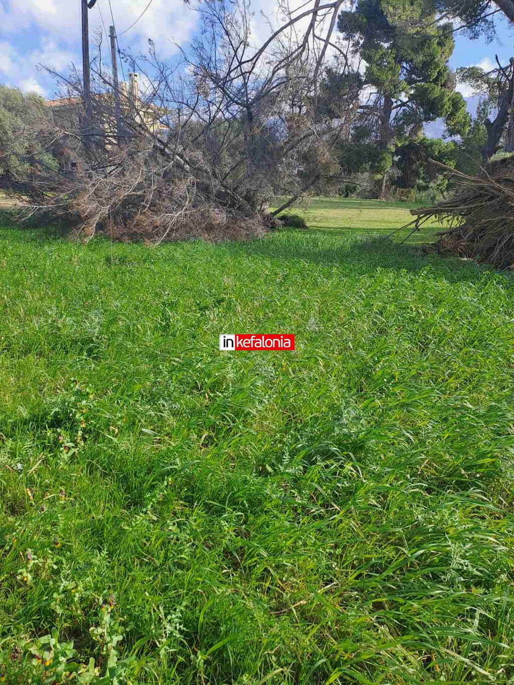 εικόνα Viber 2026 02 18 10 53 33 919