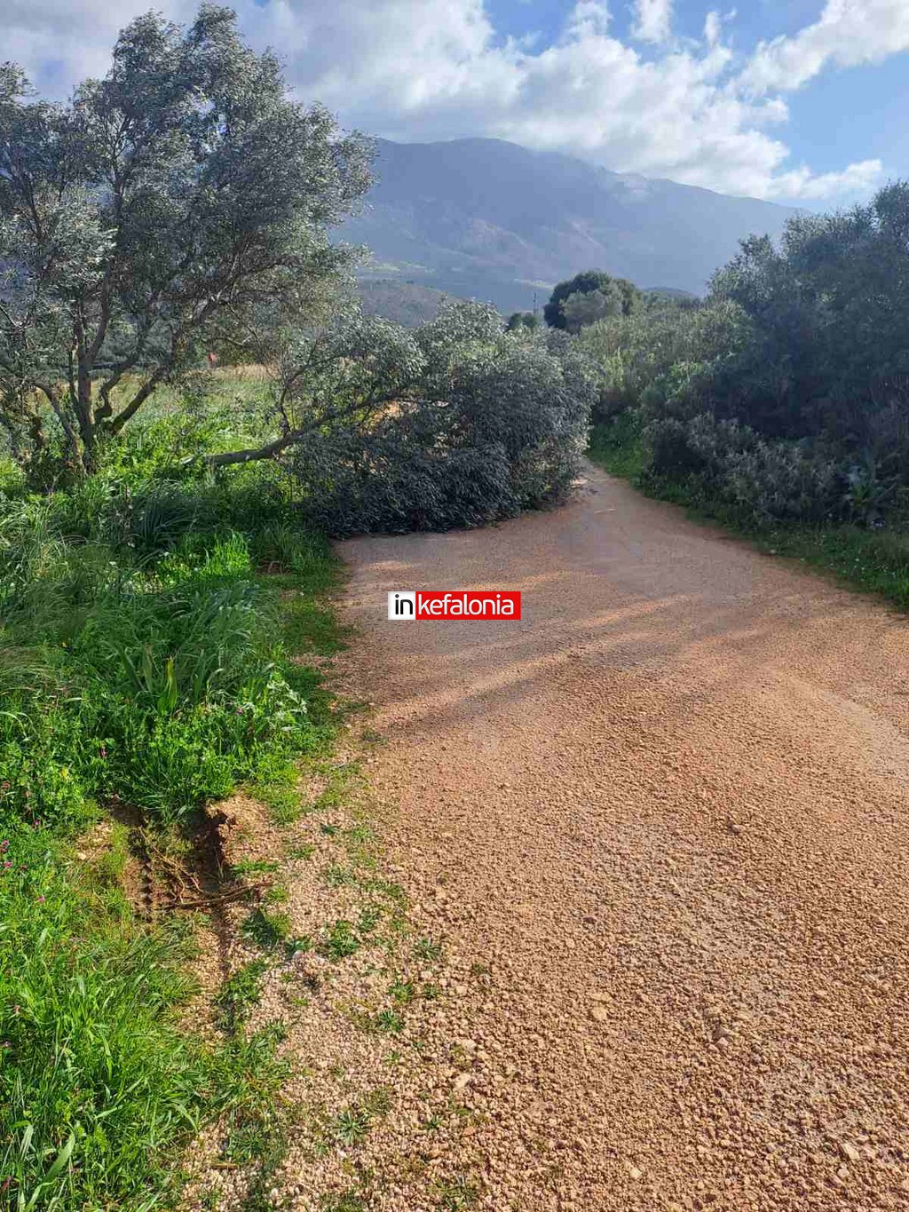 εικόνα Viber 2026 02 18 10 53 33 953