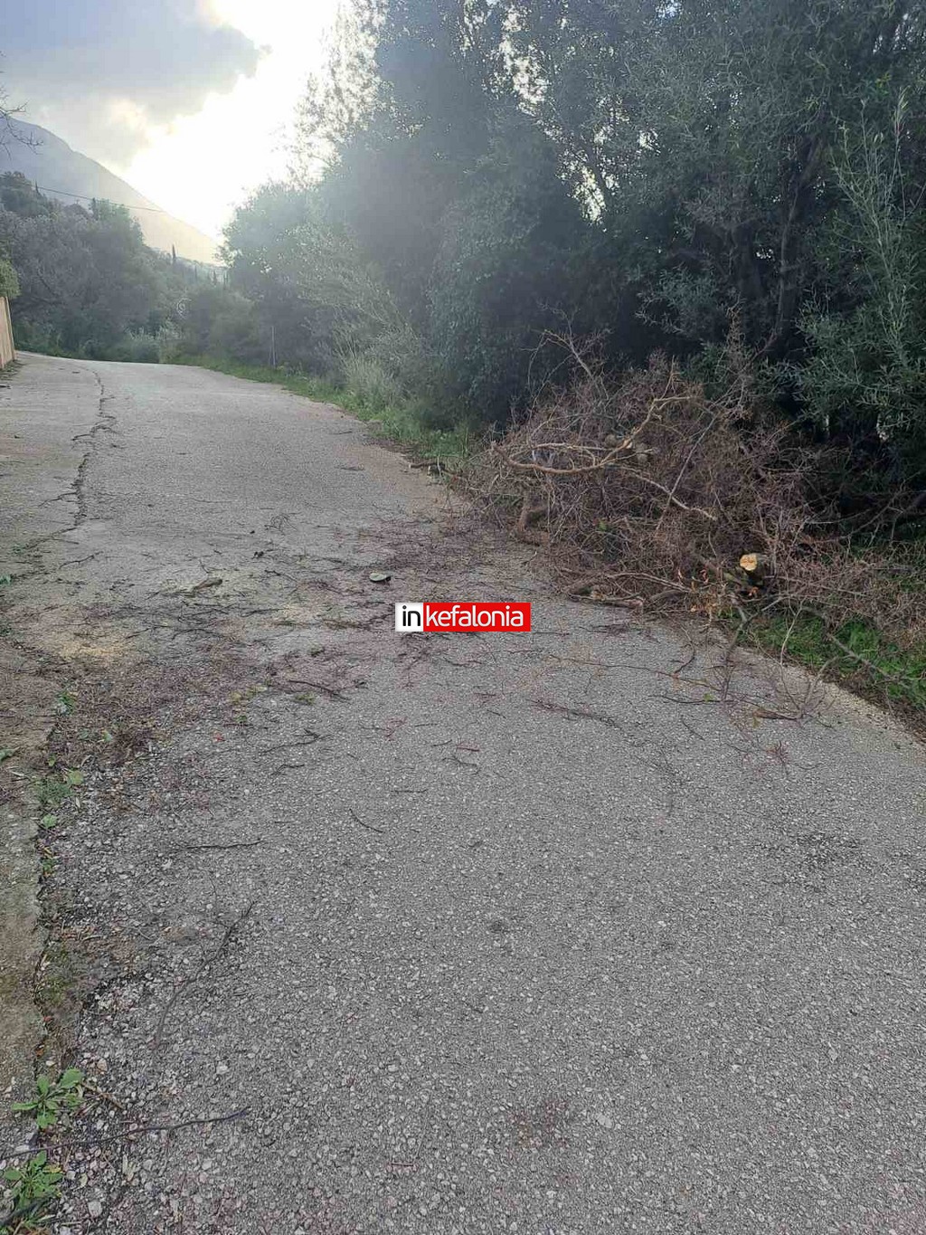 εικόνα Viber 2026 02 18 10 53 34 056