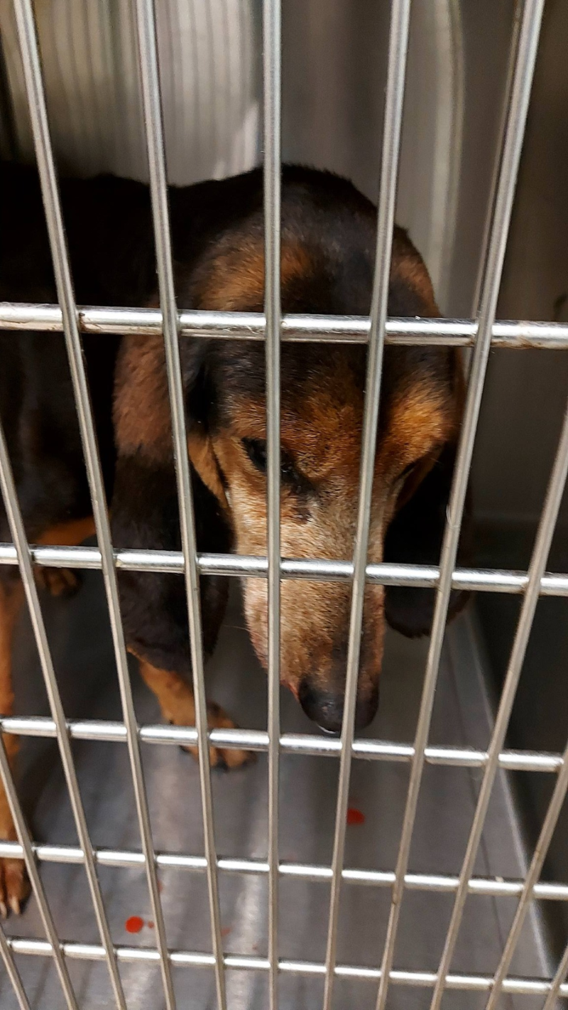 652528552 949540154094196 5112928955202804921 n jpg