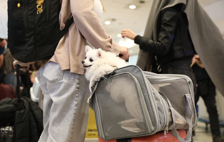 epanapatrismos apo dubai4 jpg