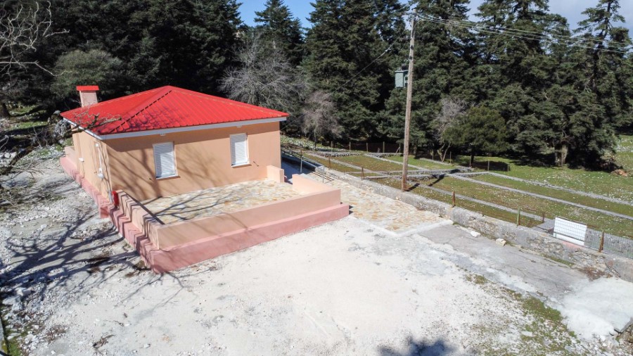 Δασοφυλάκειο 01