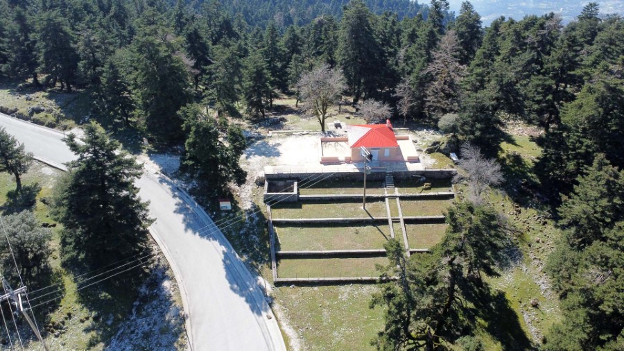 Δασοφυλάκειο 02