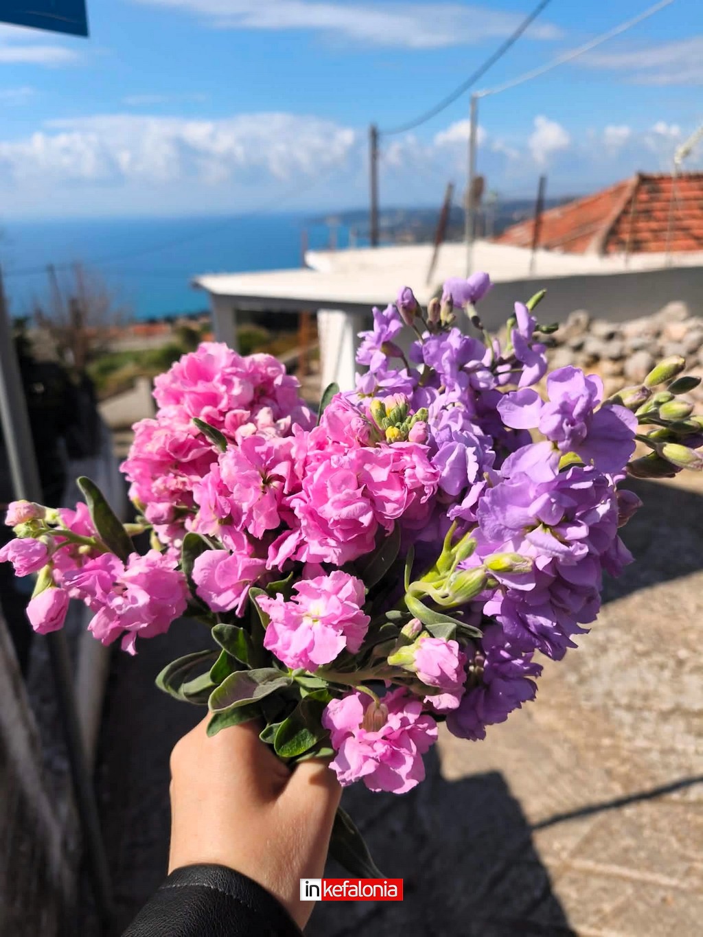 εικόνα Viber 2026 03 16 09 42 02 197