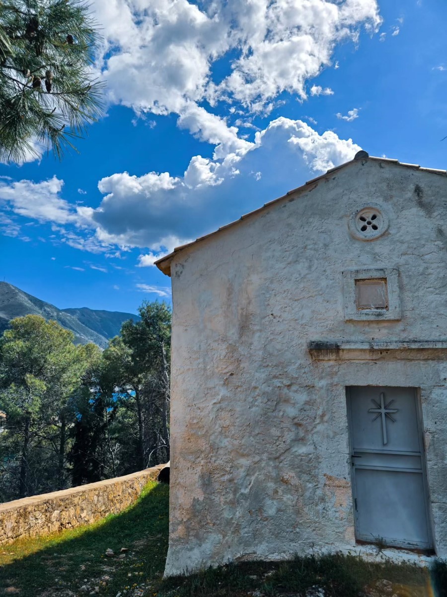 tinashoushou 1775472071217