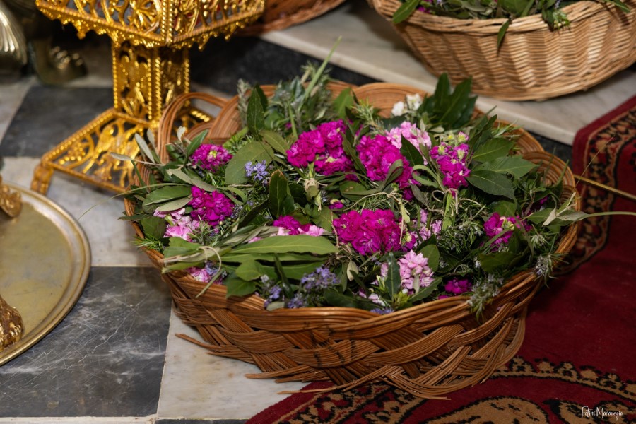 666021891 3391792777665311 5009054270656031964 n jpg