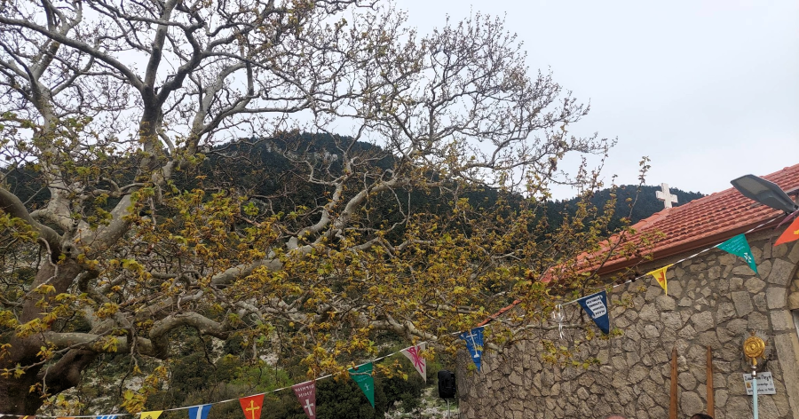 674622121 1661865491680594 398416521791209234 n jpg