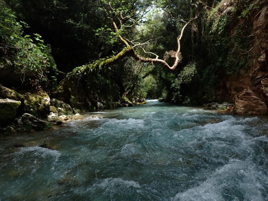 Trekking Hellas Αρκαδίας 46