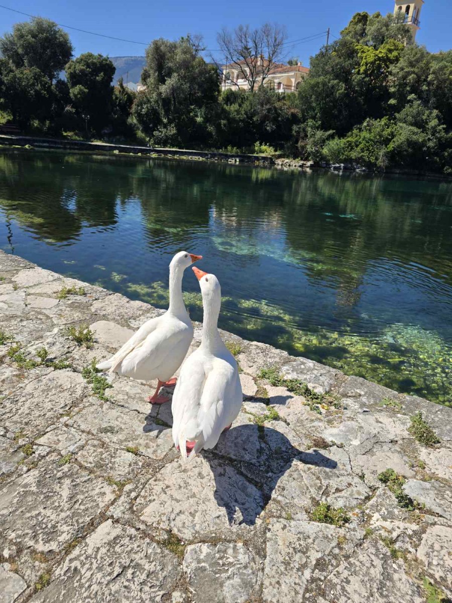 εικόνα Viber 2026 04 26 11 53 34 940