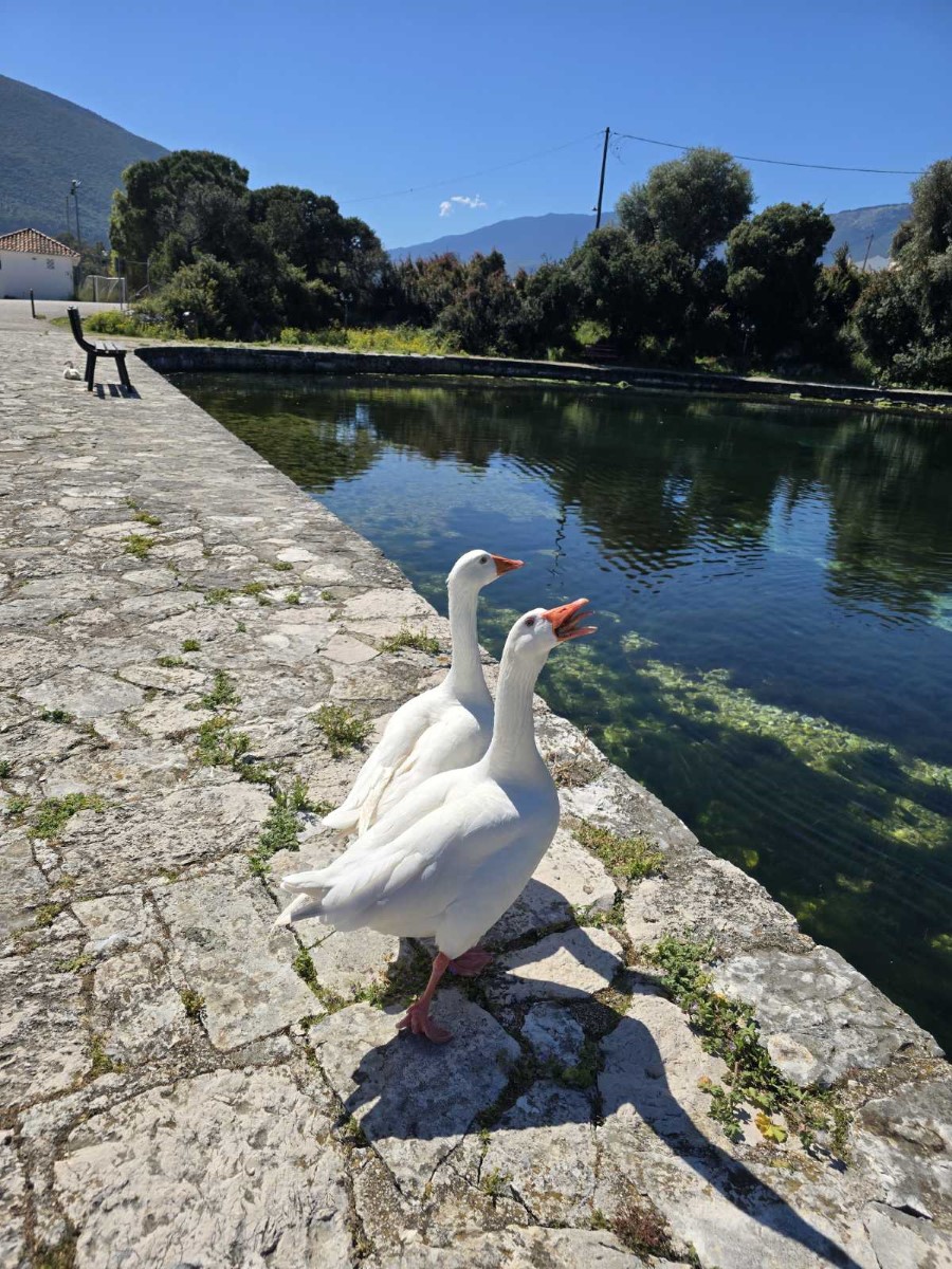 εικόνα Viber 2026 04 26 11 53 34 960