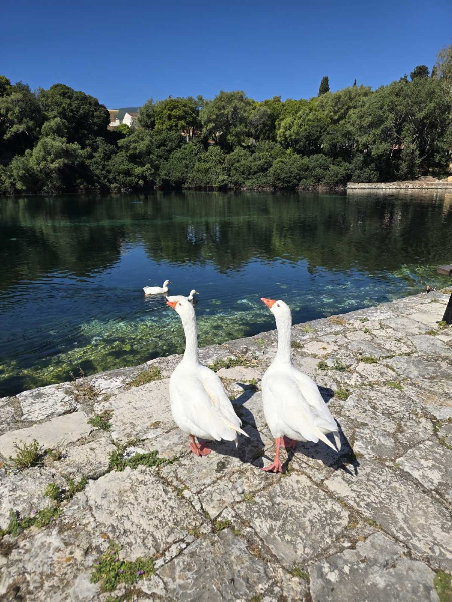 εικόνα Viber 2026 04 26 11 53 34 975