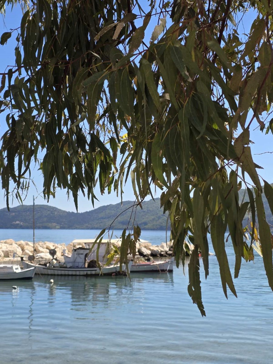 εικόνα Viber 2026 04 26 11 53 35 015