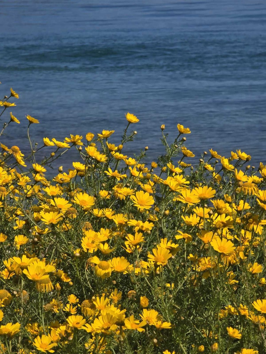 εικόνα Viber 2026 04 26 11 54 03 837