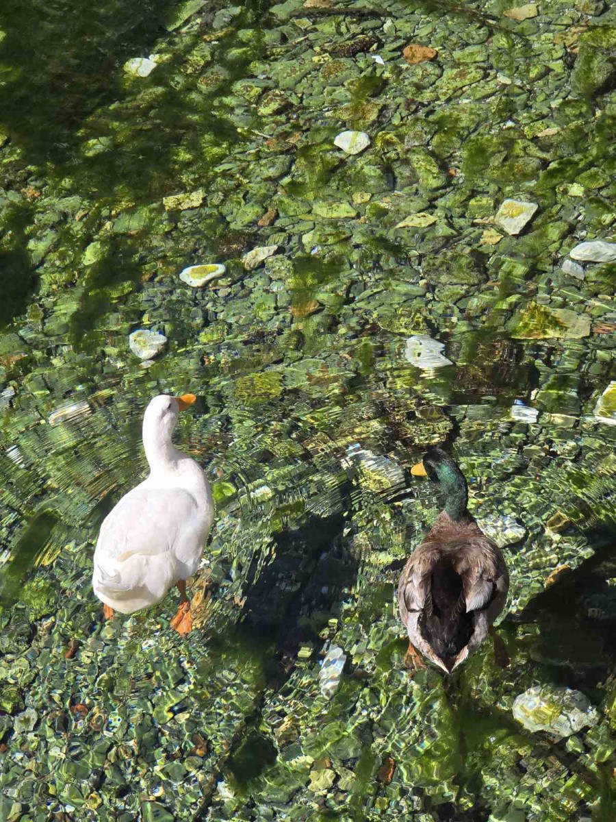 εικόνα Viber 2026 04 26 11 54 33 146