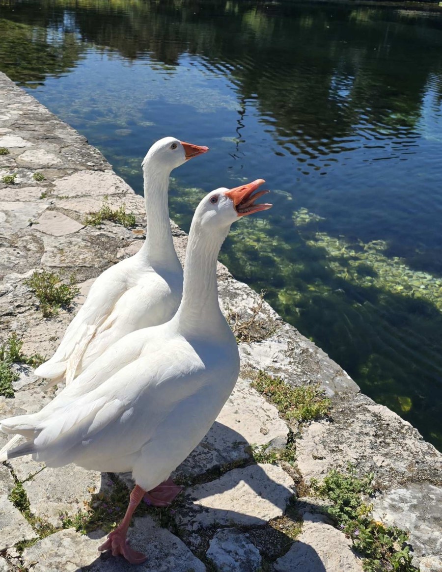 εικόνα Viber 2026 04 26 11 54 35 062