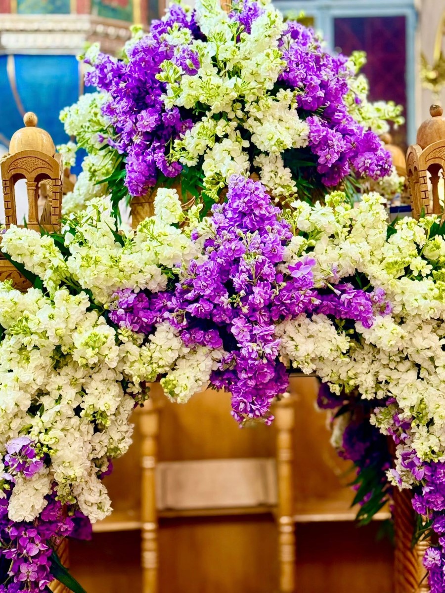 666604375 2311426486046171 5280964594128221299 n jpg