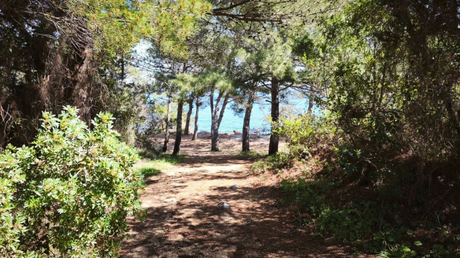 FB IMG 1775334648429