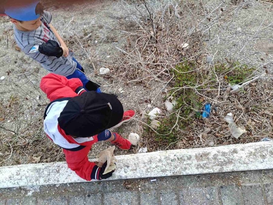 FB IMG 1778139621334
