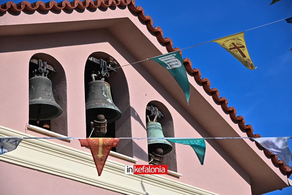 DSC 7565