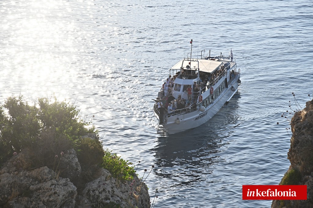 DSC 6800