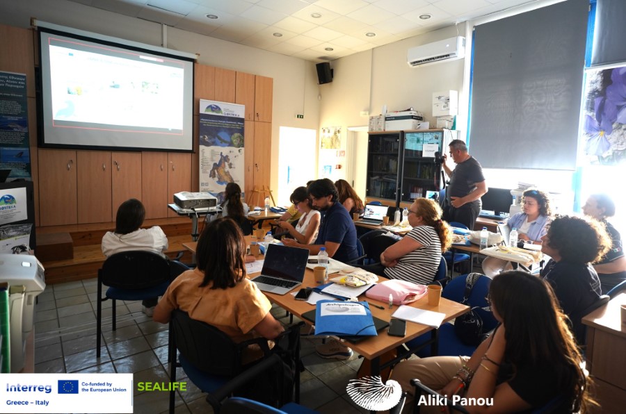 6 Meeting Participants by Aliki Panou