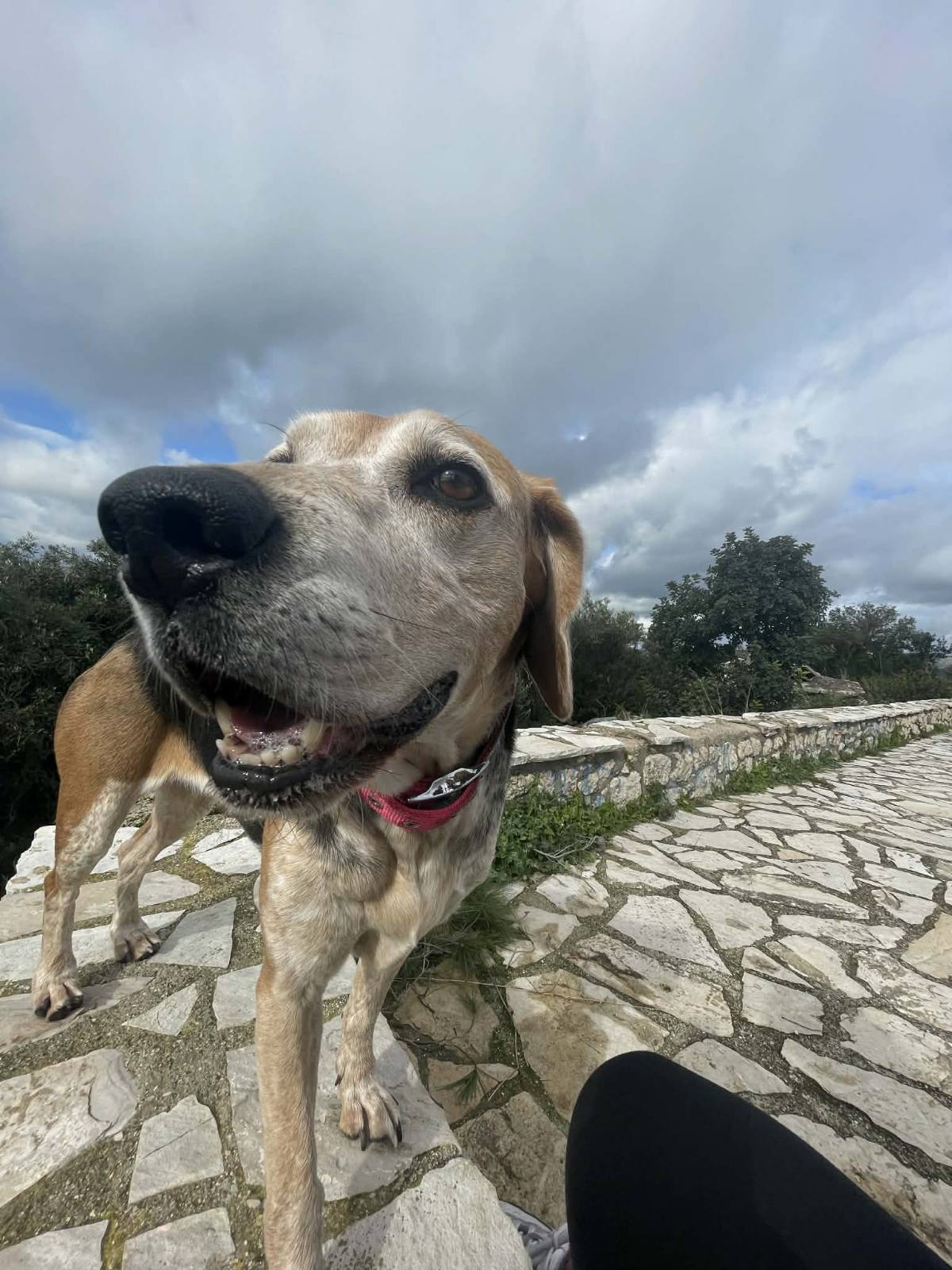 εικόνα Viber 2026 02 02 19 43 59 730