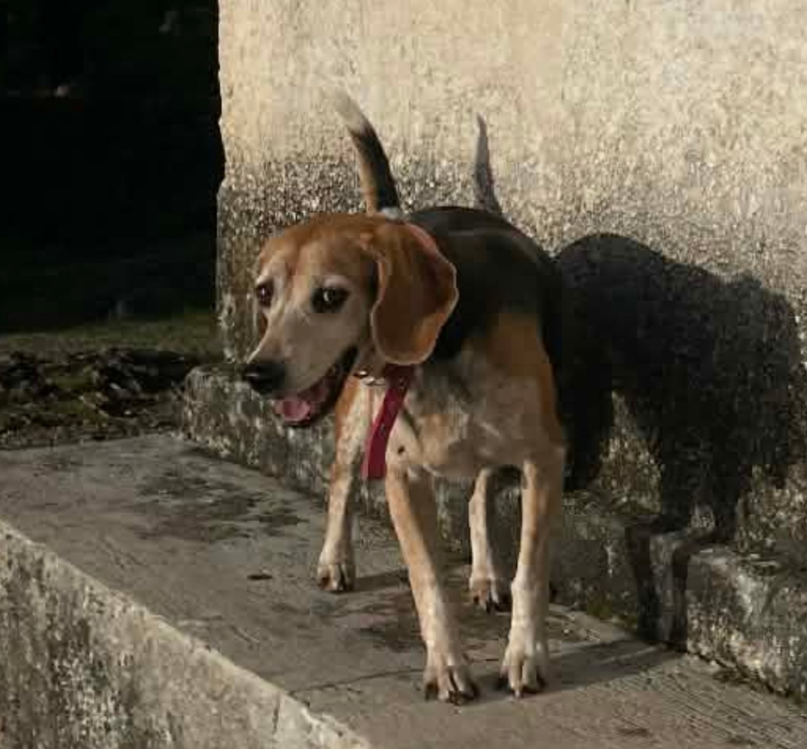 εικόνα Viber 2026 02 02 19 45 51 785