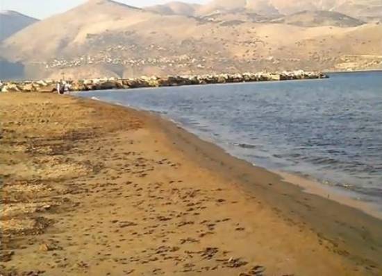 Το Μαϊάμι της Παλικής!