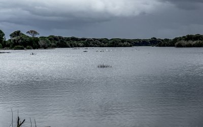 Σε κατάσταση συναγερμού ο Έβρος - Κάτω από το νερό 150.000 στρέμματα, 4 περιοχές σε επιφυλακή