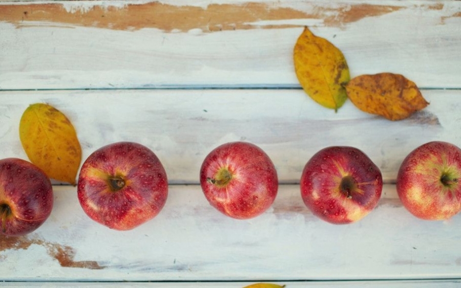 Αυτά τα 10 φθινοπωρινά superfoods τρώνε οι διατροφολόγοι