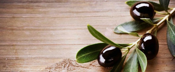 Γενική συνέλευση του Συνεταιρισμού Σπαρτιών