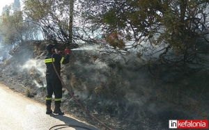 Εικόνα: Μαρία Μινέτου