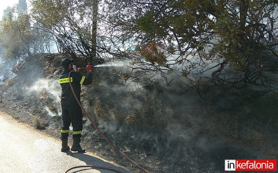 Εικόνα: Μαρία Μινέτου