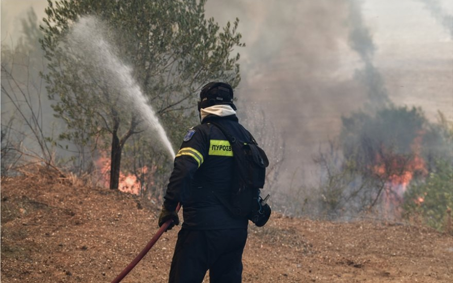 Τρωιαννάτα - Ξεριζωμένο: Γρήγορο τέλος σε άλλη μία φωτιά!