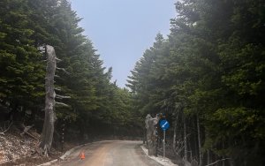 Η Περιφερειακή Ενότητα Κεφαλονιάς & Ιθάκης καθάρισε το επαρχιακό οδικό δίκτυο του Αίνου