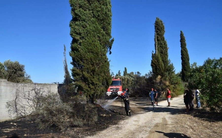 Λίγα μέτρα από το Μοναστήρι του Εσταυρωμένου έφτασε η φωτιά στην Πεσσάδα (εικόνες)