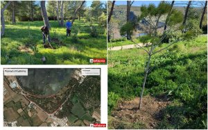 Αργοστόλι: Συνεχίζεται η οικολογική αποκατάσταση με την φύτευση δέντρων και θάμνων στο άλσος Κουτάβου! (εικόνες)