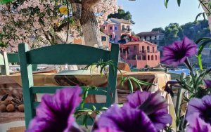 Στα χρώματα της Άσσου...