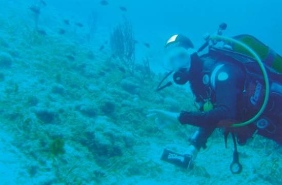 Ληξούρι : Χτύπησε τον αδελφό της με ψαροτούφεκο