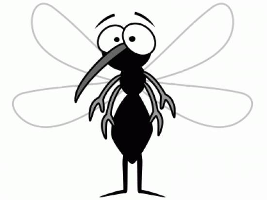 Περιφέρεια : Πρόγραμμα καταπολέμησης κουνουπιών