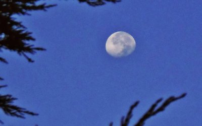 Ο Κατελειός δίνει ξανά ραντεβού με το τραγούδι και τον χορό κάτω από το φως του φεγγαριού