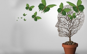 Στην Πλαγιά η ΜΕΤΑΒΑΣΗ για παροχή συμβουλευτικών υπηρεσιών για τη ψυχική υγεία