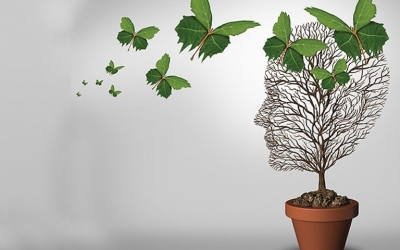 Στην Πλαγιά η ΜΕΤΑΒΑΣΗ για παροχή συμβουλευτικών υπηρεσιών για τη ψυχική υγεία