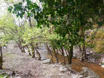 Η Ορειβατική Λέσχη σε Άκολη- Μοναστηράκι- Άτρο (εικόνες)
