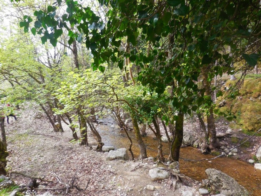 Η Ορειβατική Λέσχη σε Άκολη- Μοναστηράκι- Άτρο (εικόνες)