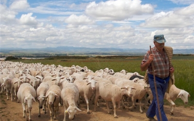 Υπέρ της πρωτοβουλίας της ΕΝΠΕ για την καταβολή εξισωτικής αποζημίωσης σε αγρότες και κτηνοτρόφους ο Θεόδωρος Γαλιατσάτος