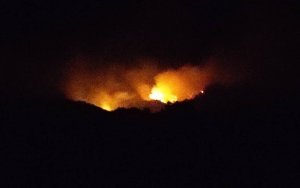 Εικόνα: Απόστολος Τραυλός