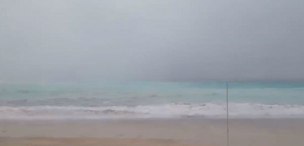 Μύρτος τώρα- Εντυπωσιακό Video