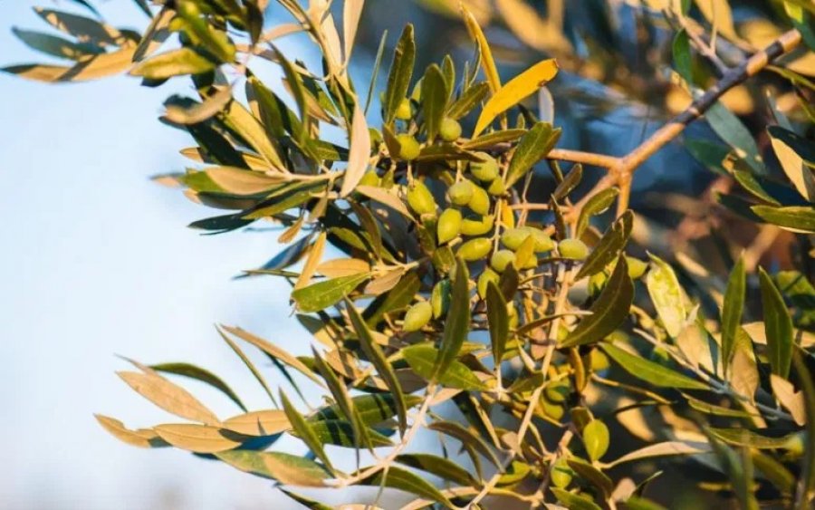 Πρόσληψη προσωπικού στην Περιφέρεια Κεφαλονιάς (προκήρυξη)
